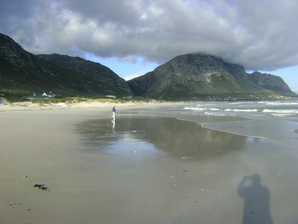 Vlei Studio Leilighet Bettyʼs Bay Eksteriør bilde